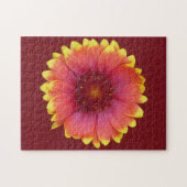 Gaillardia 1 legpuzzel (Horizontaal)