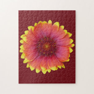 Gaillardia 1 legpuzzel