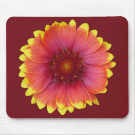 Gaillardia 1 muismat