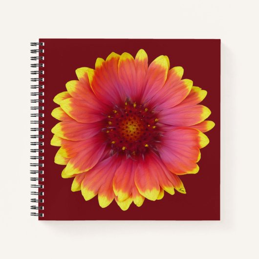 Gaillardia 1 notitieboek (Voorkant)
