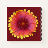 Gaillardia 1 notitieboek (Achterkant)