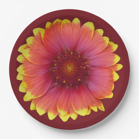 Gaillardia 1 papieren bordje (Voorkant)