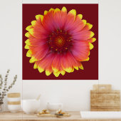 Gaillardia 1 poster (Keuken)
