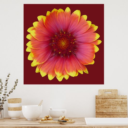 Gaillardia 1 poster (Keuken)
