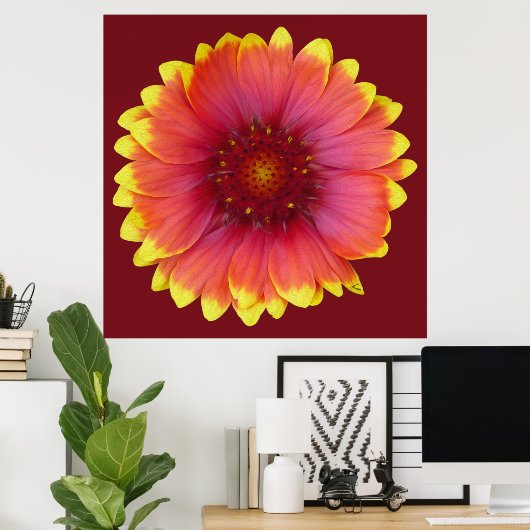 Gaillardia 1 poster (Thuiskantoor)