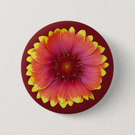 Gaillardia 1 ronde button 5,7 cm