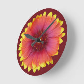 Gaillardia 1 ronde klok (Hoek)