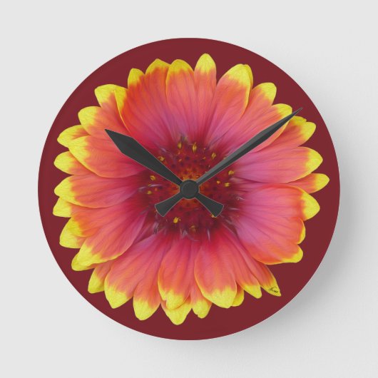 Gaillardia 1 ronde klok (Voorkant)