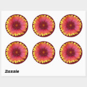Gaillardia 1 ronde sticker (Vel)