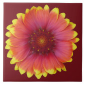 Gaillardia 1 tegeltje (Voorkant)