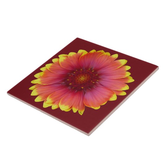 Gaillardia 1 tegeltje (Zijkant)