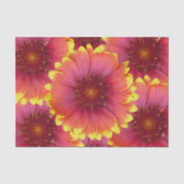 Gaillardia 1 tissuepapier