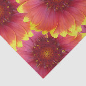 Gaillardia 1 tissuepapier (Detail)