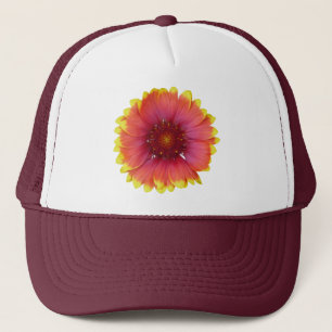 Gaillardia 1 trucker pet