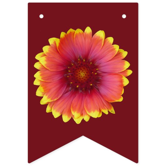 Gaillardia 1 vlaggetjes (Derde vlag)