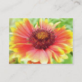 Gaillardia Bloom Up Close Visitekaartje (Achterkant)