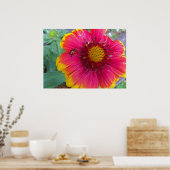 Gaillardia en Ladybug Poster (Keuken)