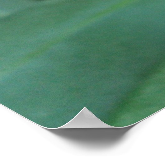 Gaillardia en Ladybug Poster (Hoek)