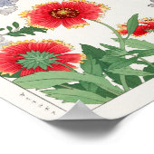 Gaillardia, Plumbago van Tanigami Konan Poster (Hoek)
