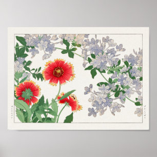 Gaillardia, Plumbago van Tanigami Konan Poster