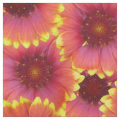 Gaillardia Seamless Patroon Stof (Close Up)