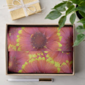 Gaillardia Seamless Patroon Tissuepapier (Geschenk)