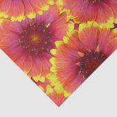 Gaillardia Seamless Patroon Tissuepapier (Detail)