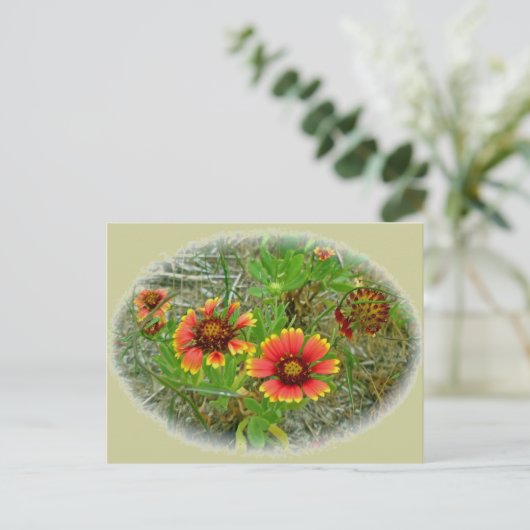 Gaillardia Wilde Canvas tas (Blanket Flower) Briefkaart (Staand voorkant)