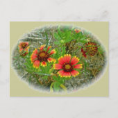 Gaillardia Wilde Canvas tas (Blanket Flower) Briefkaart (Voorkant)