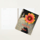 Gaillardia Zonnebloem, Oranje en geel Planner (Display)