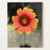 Gaillardia Zonnebloem, Oranje en geel Planner (Achterkant)