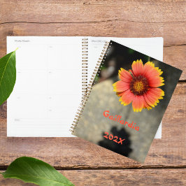 Gaillardia Zonnebloem, Oranje en geel Planner