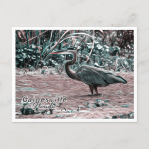 GAINESVILLE FLORIDA BRIEFKAART