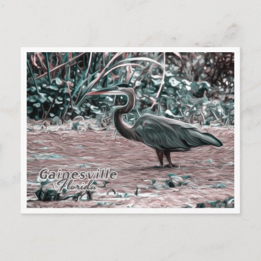 GAINESVILLE FLORIDA BRIEFKAART (Voorkant)