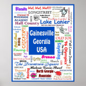 Gainesville poster1 poster (Voorkant)