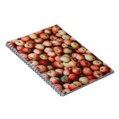 GALA APPLES NOTITIEBOEK (Rechterzijde)
