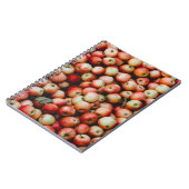 GALA APPLES NOTITIEBOEK (Linkerzijde)