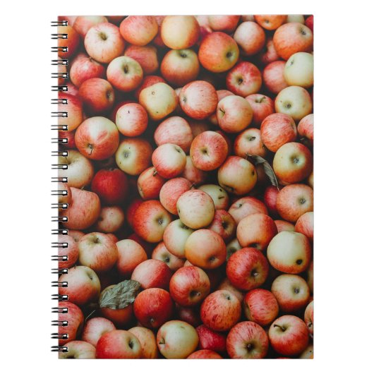 GALA APPLES NOTITIEBOEK (Voorkant)