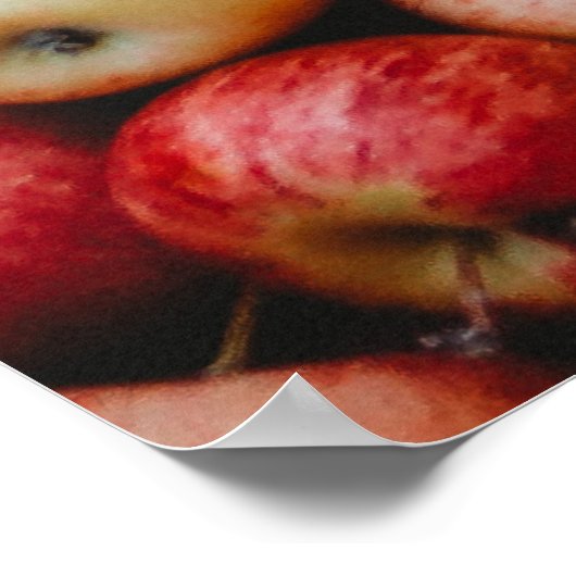 GALA APPLES POSTER (Hoek)
