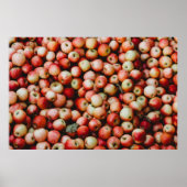 GALA APPLES POSTER (Voorkant)