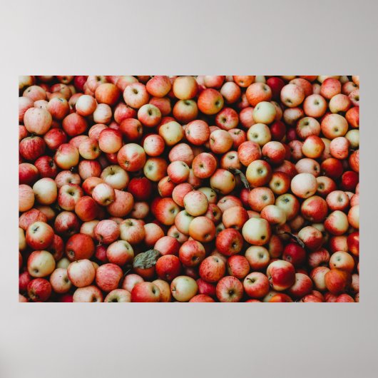 GALA APPLES POSTER (Voorkant)