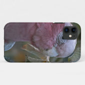 Gala of Roos-breasted Kaketoe Case-Mate iPhone Case (Achterkant (horizontaal))
