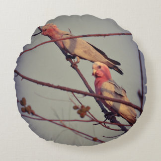Gala vogels in boom2 rond kussen