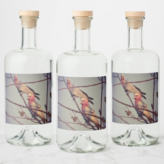 Gala vogels in boom 1 likeurfles etiket (Flessen)