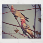 Gala vogels in boom 1 likeurfles etiket (Enkel label)