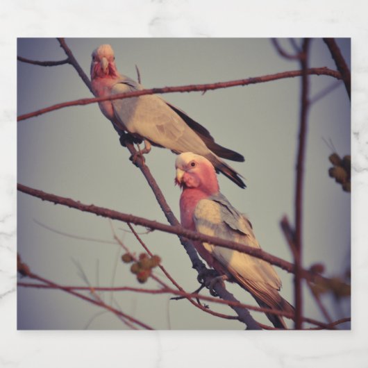 Gala vogels in boom 1 likeurfles etiket (Enkel label)