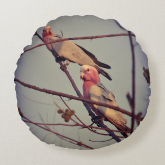 Gala vogels in boom 1 rond kussen