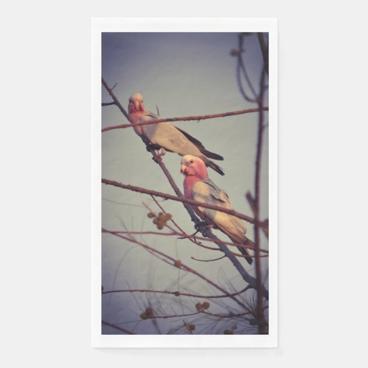Gala vogels in boom 1 servet (Voorkant)