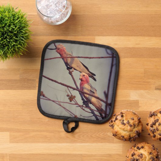 Gala vogels in boom 2 pannenlap (Top down)