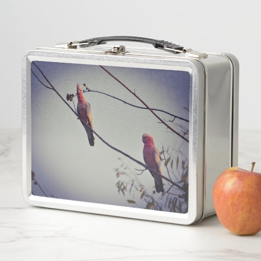 Gala vogels in boom 3 (In situ)